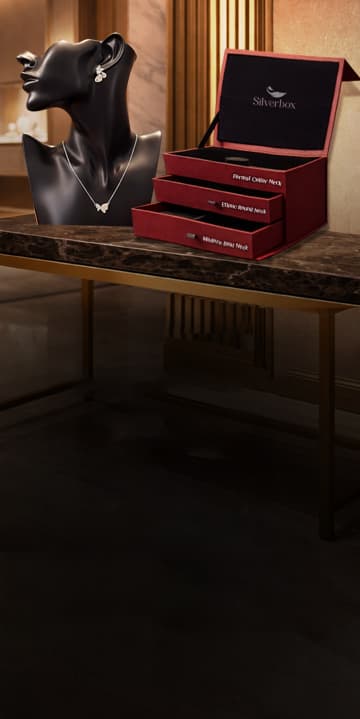 SilverBox intro animation